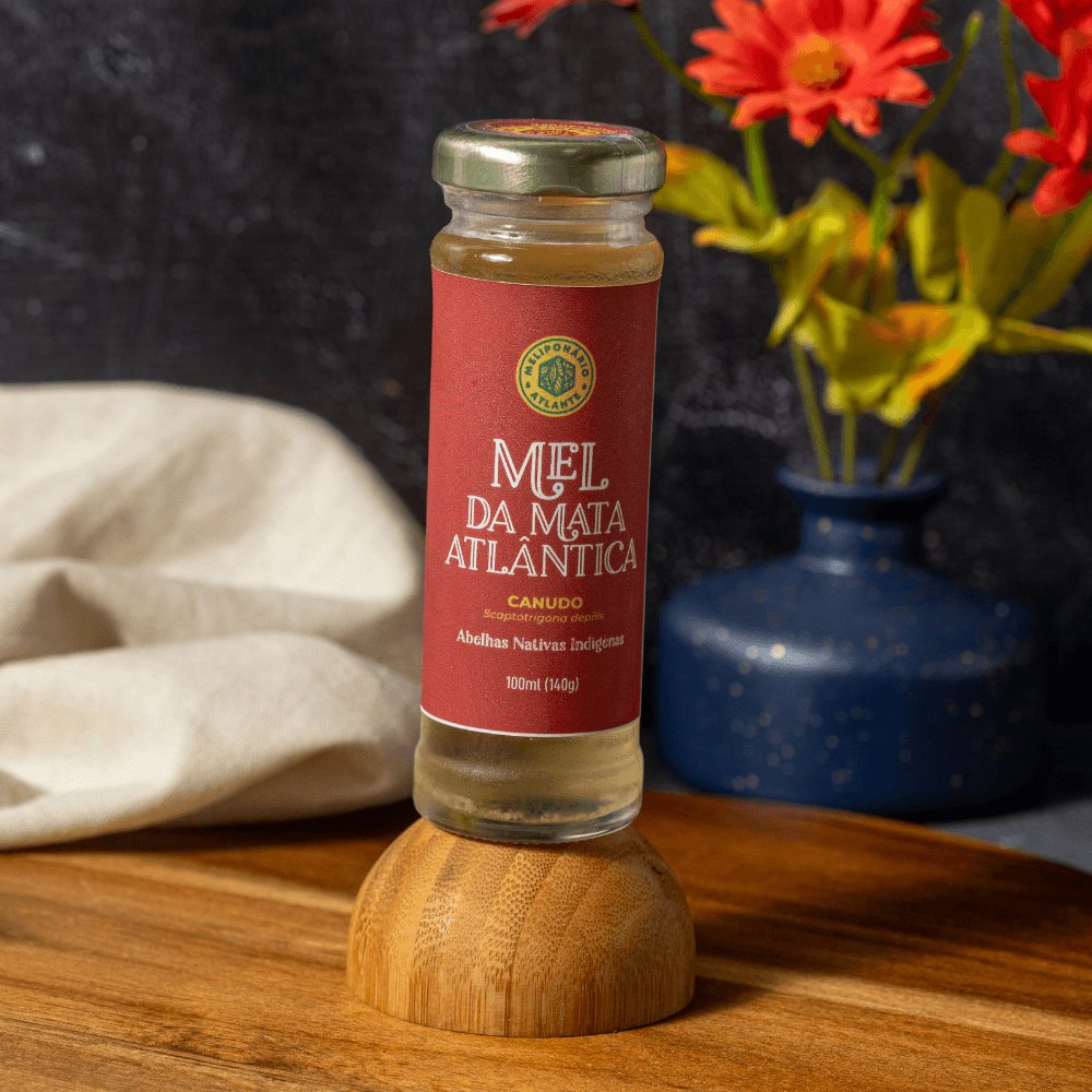 Mel de abelha Nativa sem Ferrão 100ml - Canudo
