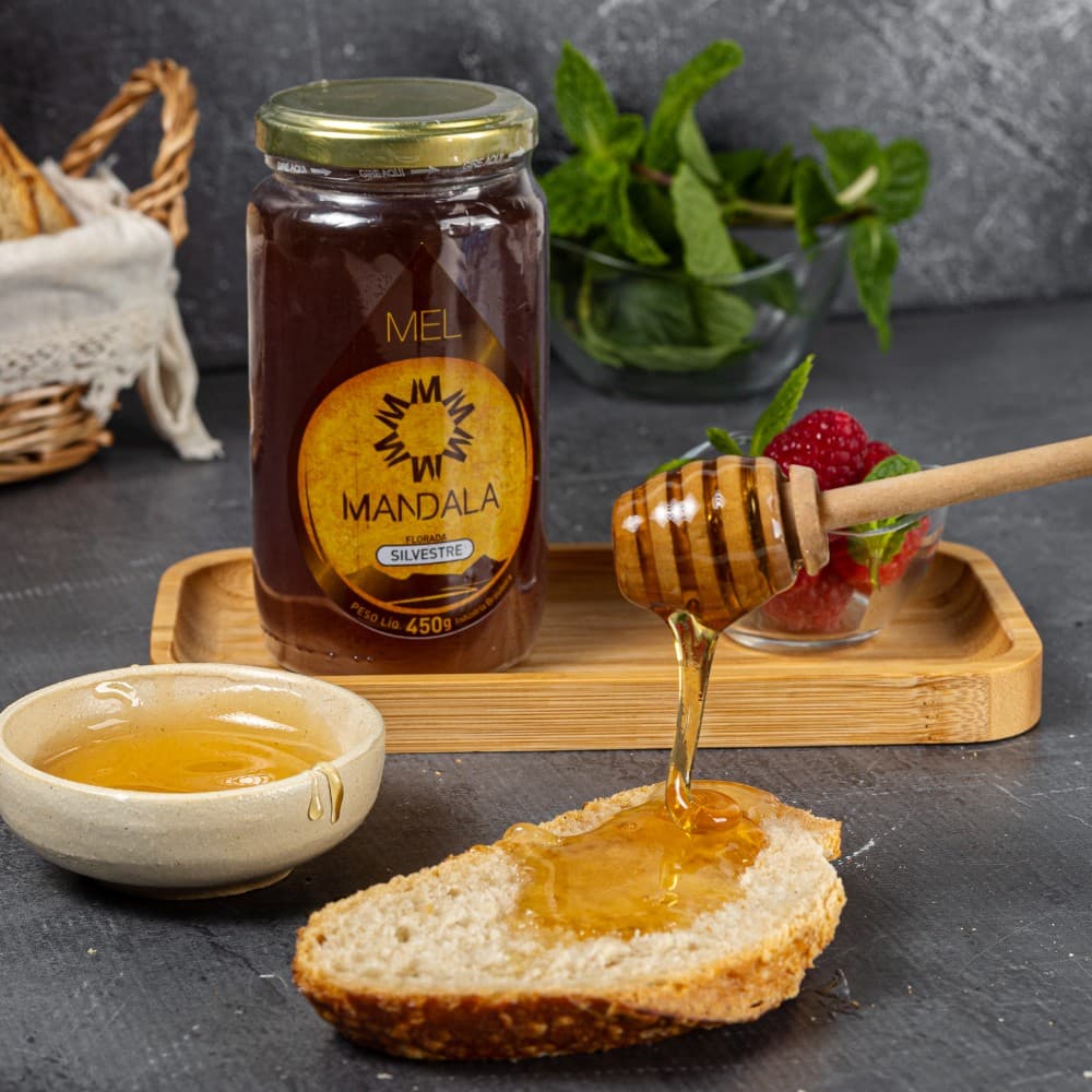 Mel Puro Mandala Florada Silvestre 450G
